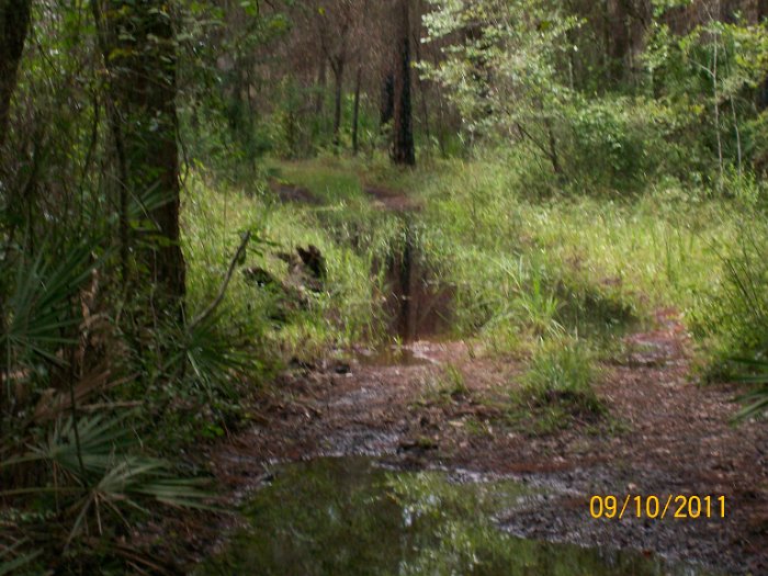 2011-Sep-10_HGR4X4_RichloamBB 055